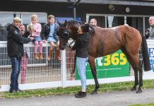 Protection Money pays off