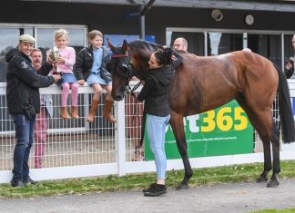 Protection Money pays off