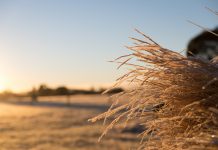 A changing landscape?