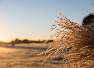 A changing landscape?