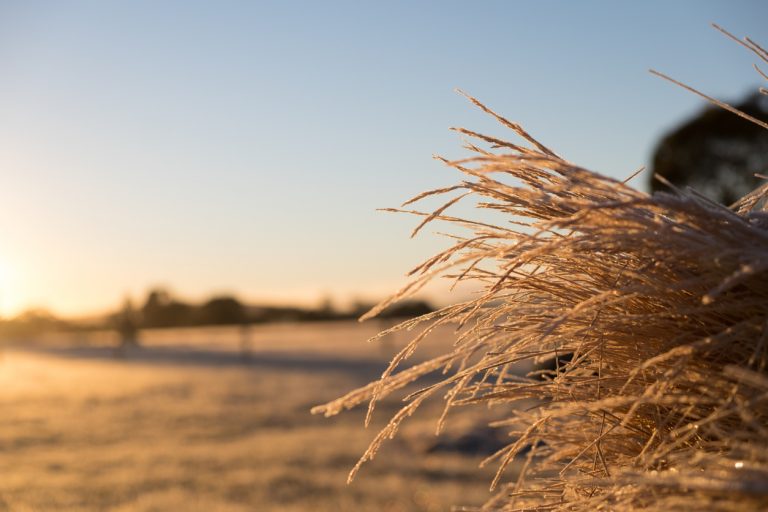 A changing landscape?