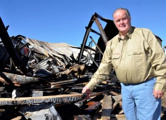 Blaze spotlights dog attacks