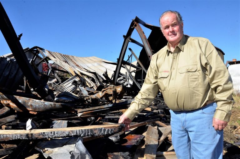 Blaze spotlights dog attacks