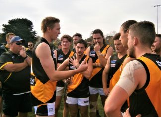 Redbacks too good for improved Tigers