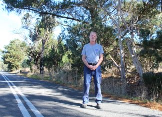Clear the verges – Firefighter speaks out on fuel loads