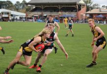 Tigers make impression