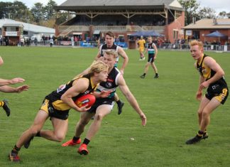 Tigers make impression