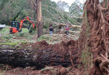 Golf courses hit hard