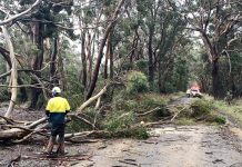 Forests and parks remain closed to visitors