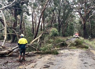 Forests and parks remain closed to visitors