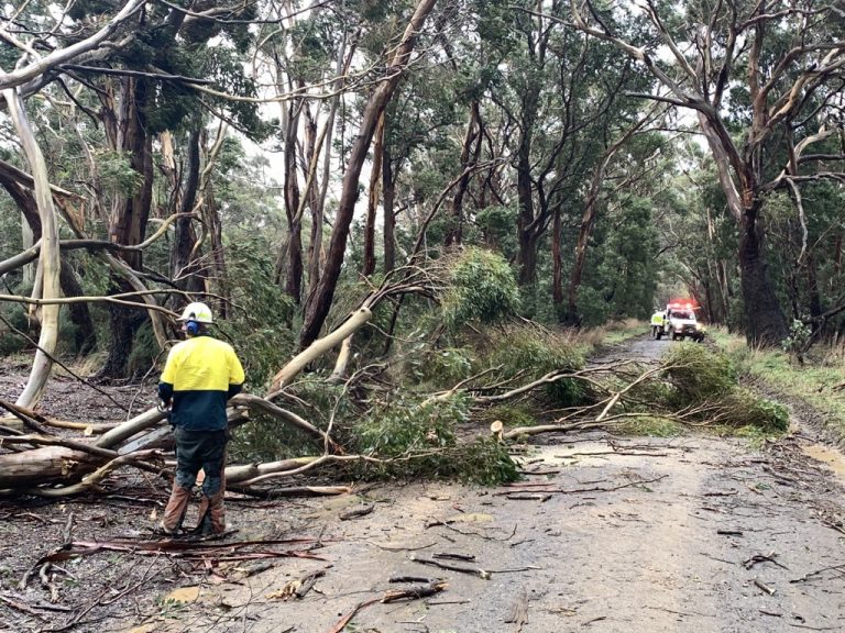 Forests and parks remain closed to visitors