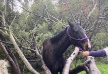 Storm over but event not ended