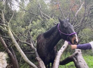 Storm over but event not ended