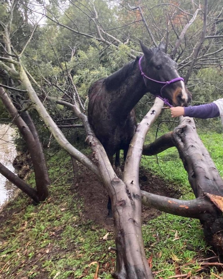 Storm over but event not ended