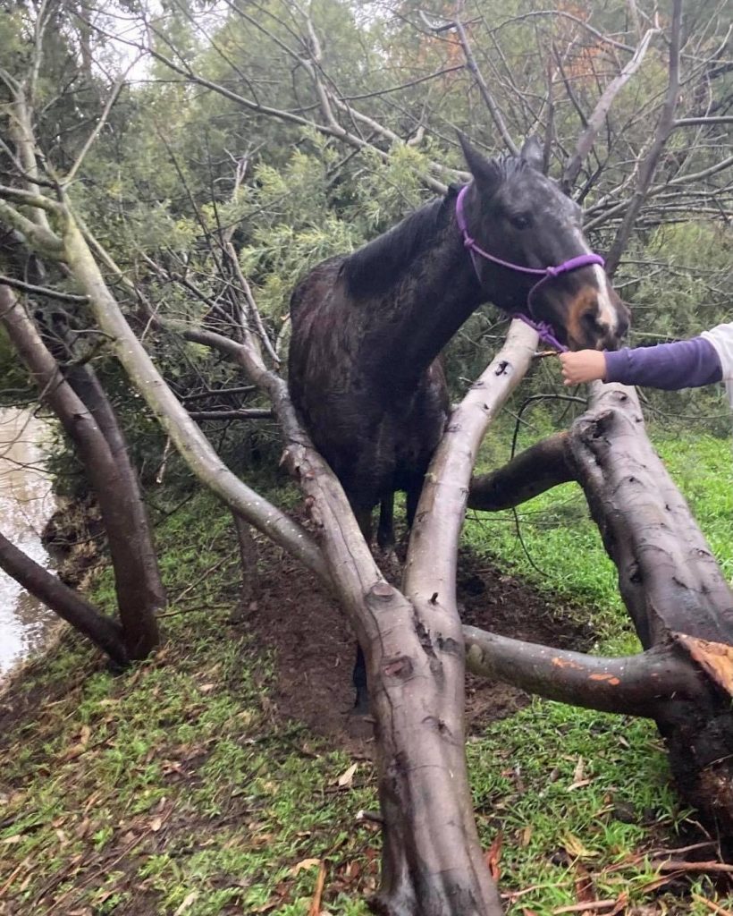 Storm over but event not ended