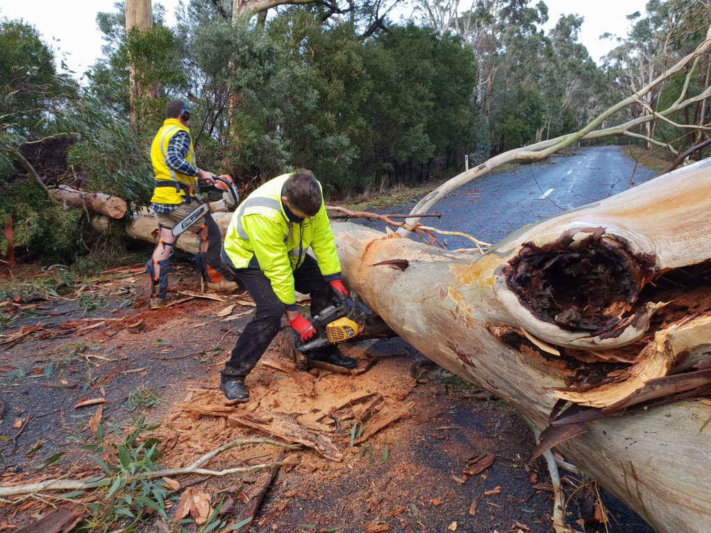 Cobaw State Forest closed