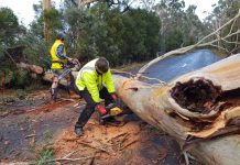 Cobaw State Forest closed