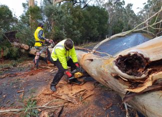 Cobaw State Forest closed