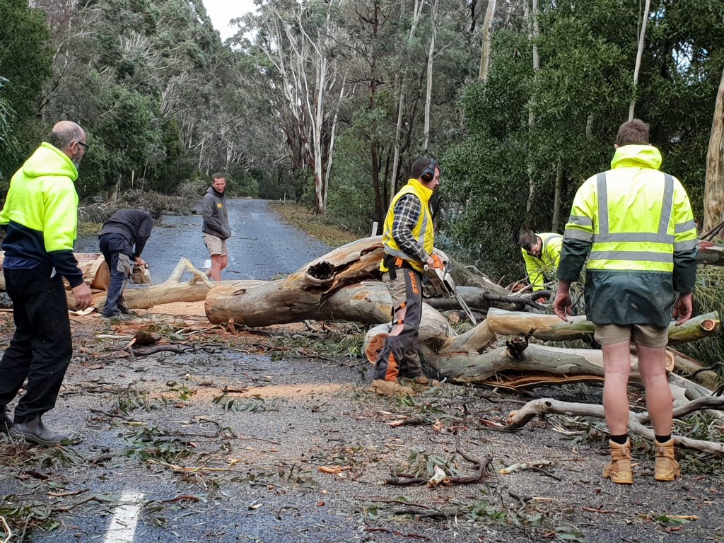 Storm ravages region