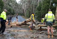Storm ravages region