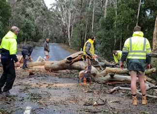 Storm ravages region