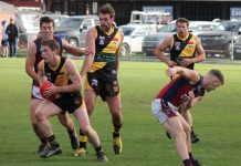 Tigers show plenty of spirit