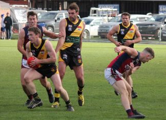 Tigers show plenty of spirit