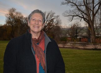 Digital health leader honoured