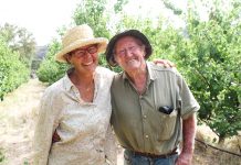 Preserving our heritage apples