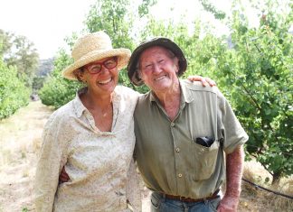 Preserving our heritage apples