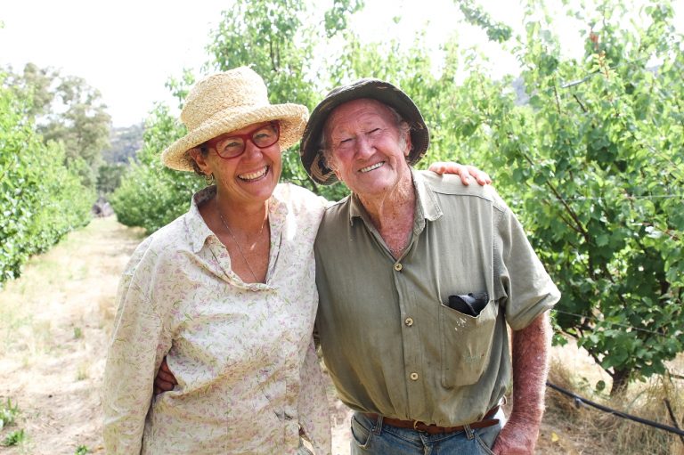 Preserving our heritage apples