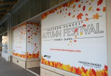 Festival fail – Tourism drawcard leaves much to be desired