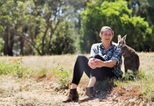 Hop to it and do wildlife rescue