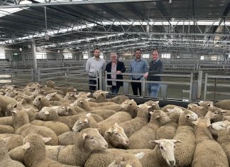 Hardwicks Meats joins forces with Kilcoy Global Foods