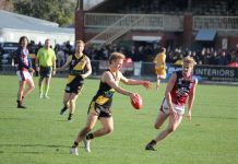 Bendigo FNL season update