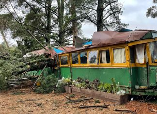 Push to get tram back on track