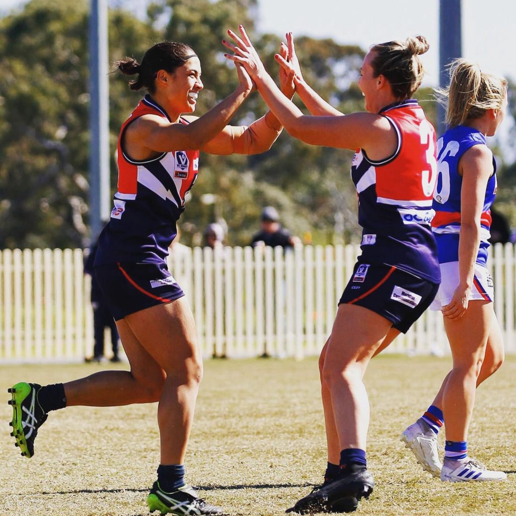 Falcons have landed in Castlemaine