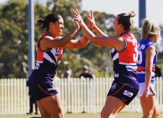 Falcons have landed in Castlemaine
