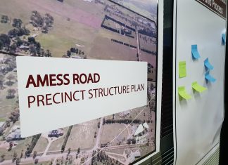 Riddell planning in council hands