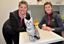 WORKFORCE CRISIS – Overworked vets understaffed and under stress