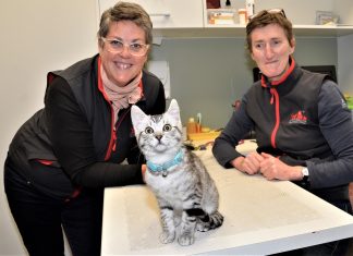 WORKFORCE CRISIS – Overworked vets understaffed and under stress