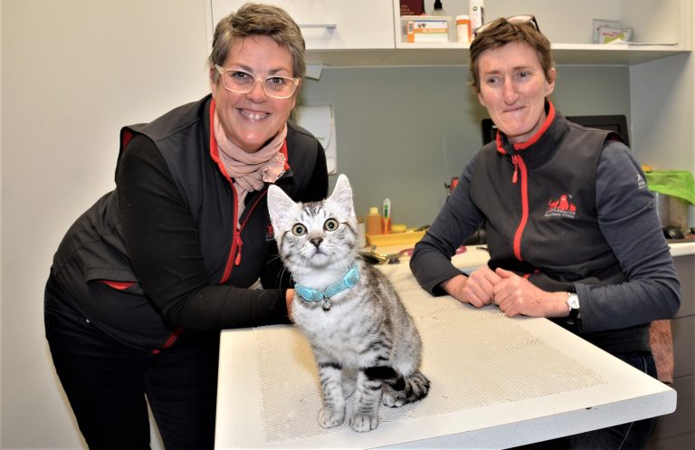 WORKFORCE CRISIS – Overworked vets understaffed and under stress