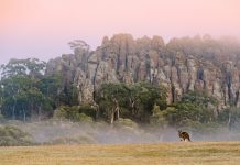 Hanging Rock paddock funds to be put aside