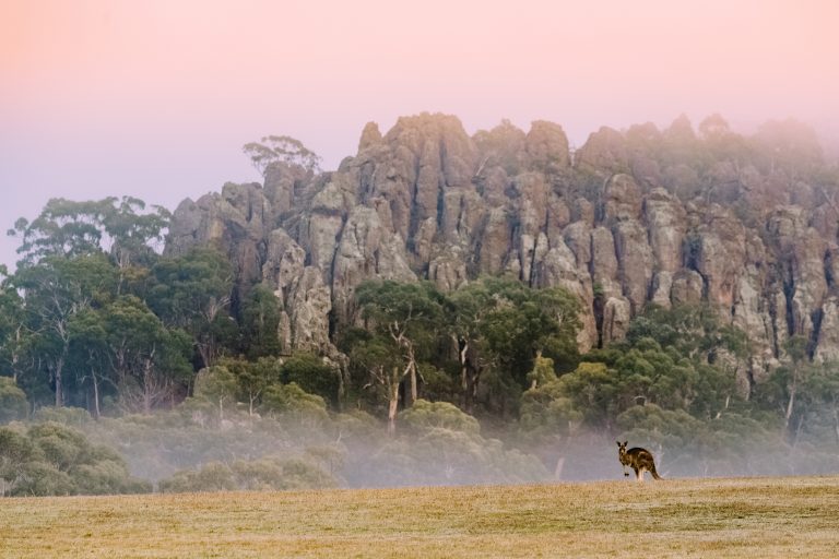 Feedback sought on Hanging Rock plan