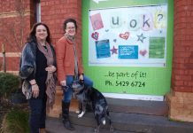 Mental health support – locally