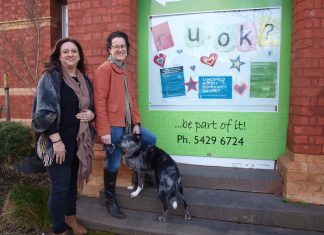 Mental health support – locally