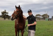 Six months on – heading in the right direction