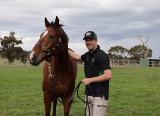 Six months on – heading in the right direction