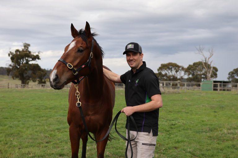 Six months on – heading in the right direction