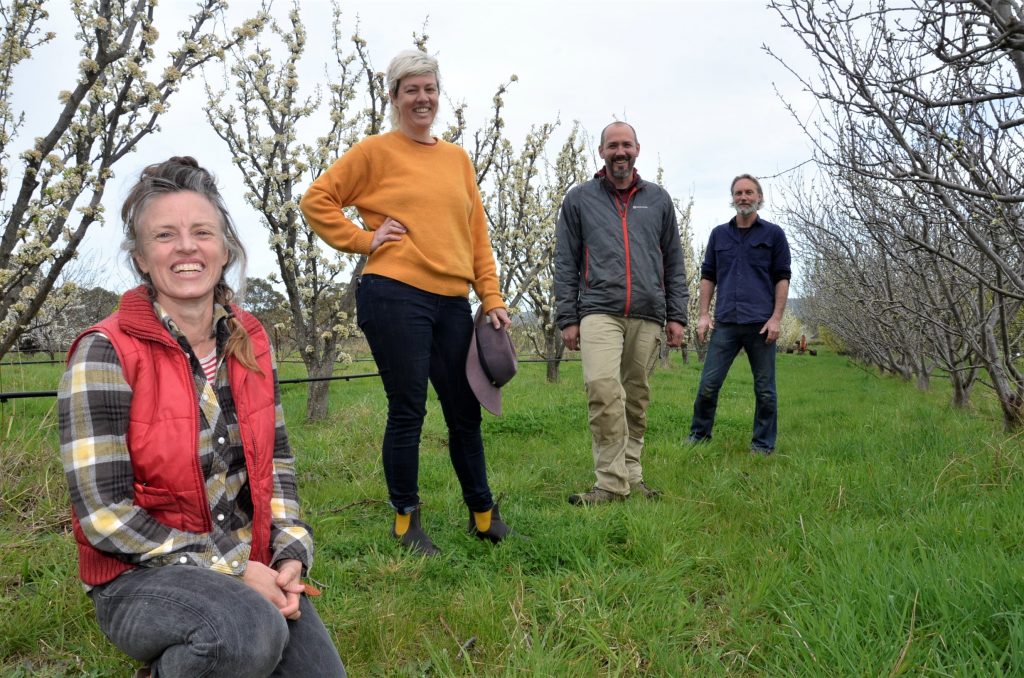 Meet … the orchard keepers
